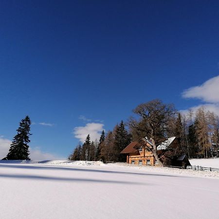 Ferienhaus Bichlhuette Pruggern Kültér fotó