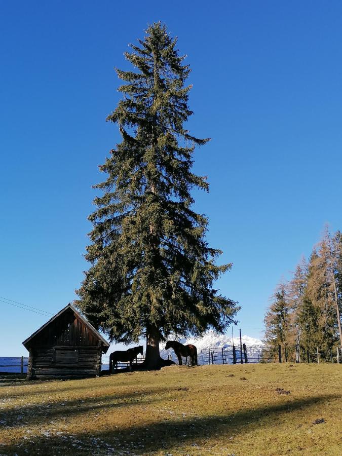 Ferienhaus Bichlhuette Pruggern Kültér fotó