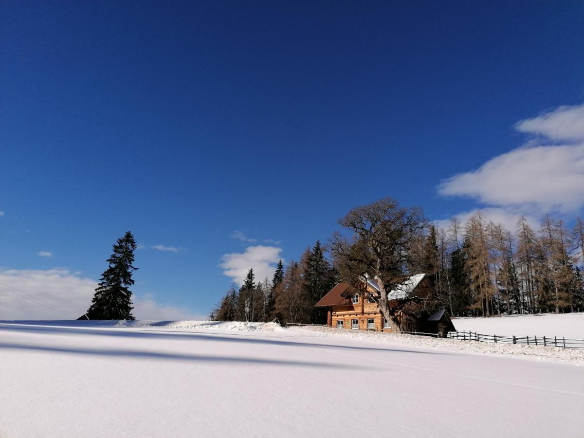 Ferienhaus Bichlhuette Pruggern Kültér fotó