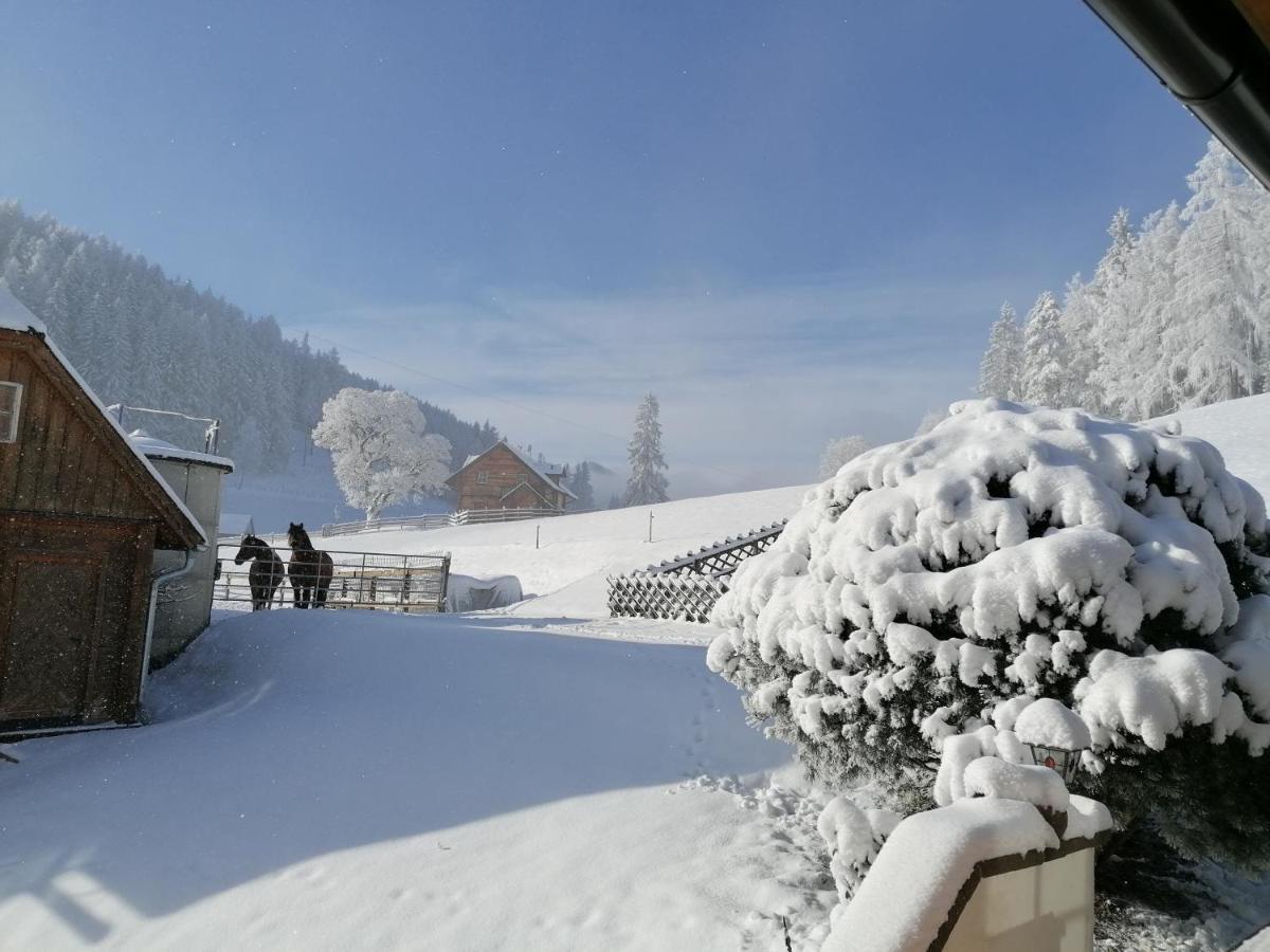Ferienhaus Bichlhuette Pruggern Kültér fotó