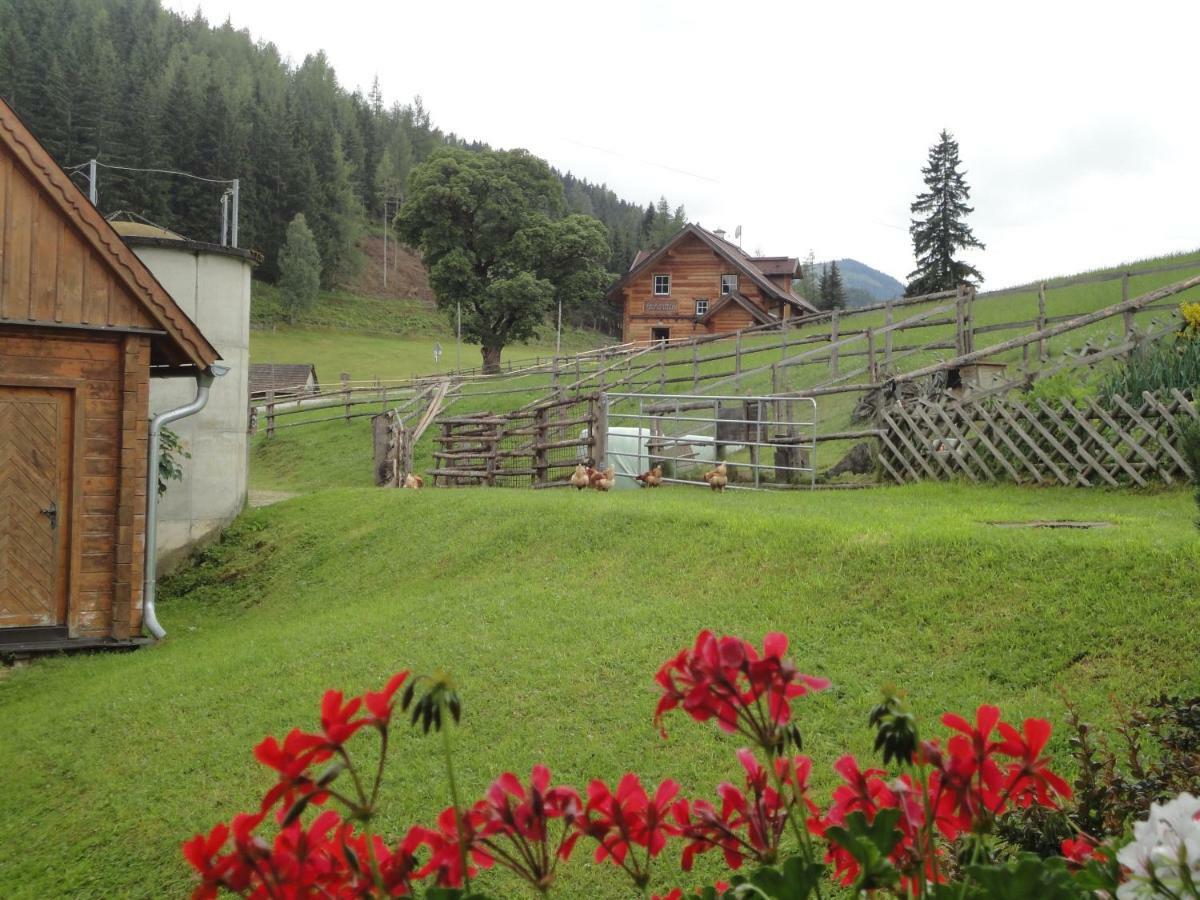 Ferienhaus Bichlhuette Pruggern Kültér fotó